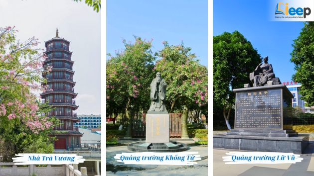 nhà trà vương.jpg